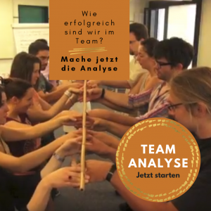 team-analyse